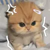 zzz1234409