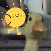 toiiubotoi1124