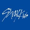 stayy_skrr