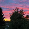 cherrinn08