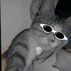 call_sepoer