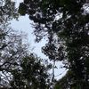 _pasipasipa