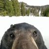 adam.roth09
