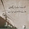 saqlainawan006
