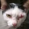 khoacwkid