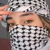 palestinmycountry