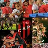santinovegaaas