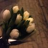 yasmeen_ahmed108