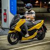 palmwirawat05