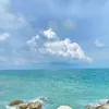 tamphuc1604