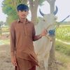 shahid__khan980