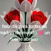 rosamercedes047