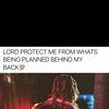 l.g.o80