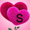 salwa.dowidar
