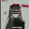 chiipp231