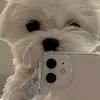 giovanamarins27