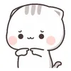 maiai__