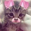 aliza.m337