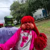 ELIAS_FOFÃO_OFICIAL_DA_CARRETA