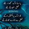 shahzad.hussain9393