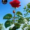user58001499020274