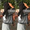 isma04623