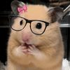 mochibbyw