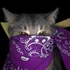 azark_kn