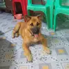 user2904199313