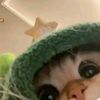 syara_1404