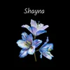 sshayy.10
