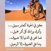 nader.to.mohamed
