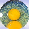 jen_ye1at