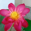 nam.kim324