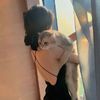 caitlin259291