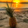 pineapple_is_amaz