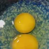 vi_hoang_son22