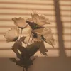 s_k1_3