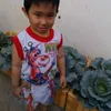 caothevinh08