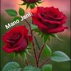 kainat81820