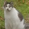 tuomas2507