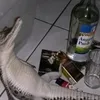 limon4ik_sigm0