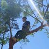 el.gant7