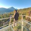 tahu_petiz
