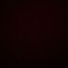_zohasaleemx