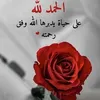 mouradjhaalamdar1