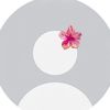 dalilass.65