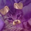 simlefthechat_
