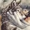 444_anixx