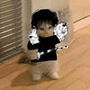 gato_toji777